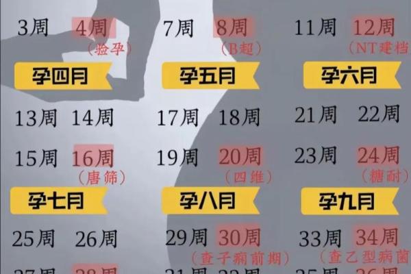 有30天的月份分别是哪几个月 30天都有哪几个月