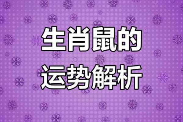 2013属相运势(2013年属鼠运势)