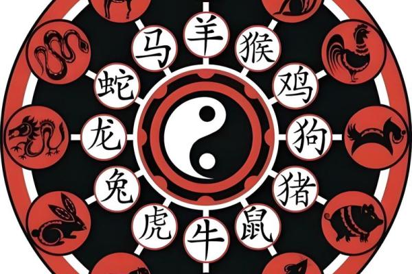 1972年出生属鼠人2025年全年运势完整版解析