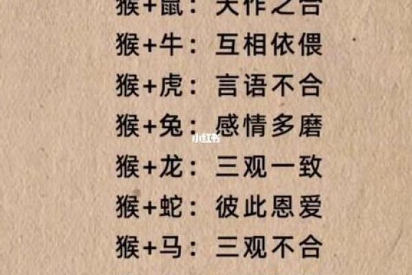 54年属马的最佳婚配 54年属马的最佳婚配是什么
