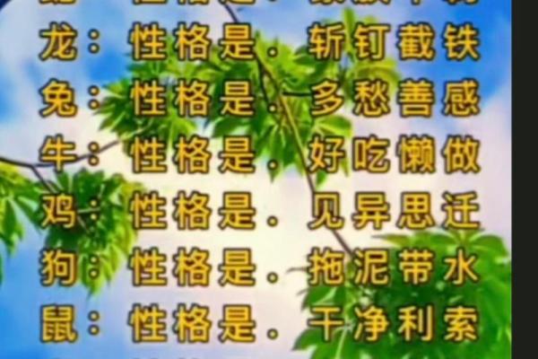 头脑非常聪明的三大生肖 头脑非常聪明的三大生肖是什么