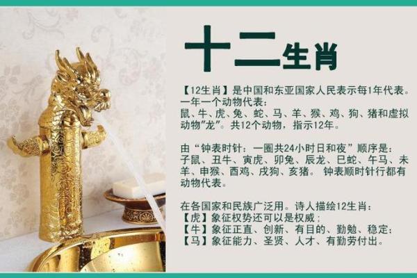 演古劝今打一生肖(演古劝今打一生肖正确答案)