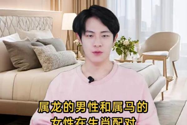 属马跟属龙的婚配怎么样 属马跟属龙的婚配怎么样呢 属马跟属龙的婚配怎么样 属马跟属龙的婚配怎么样呢