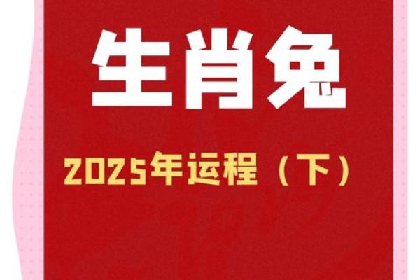 属兔2022年的运势(属兔2022年运势完整版) 属兔2022年的运势(属兔2022年运势完整版)