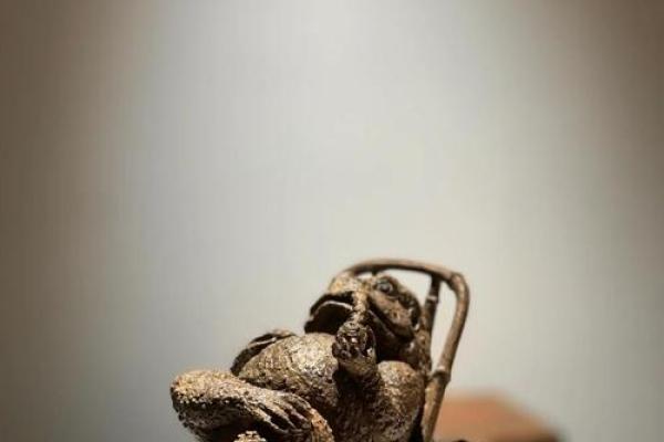 金丝楠木最忌三种属相 最贵的木头排名金丝楠木