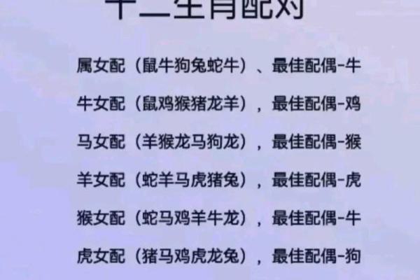 四零落波其中选”着句谜语指的是十二生肖里的哪一个动物答案？