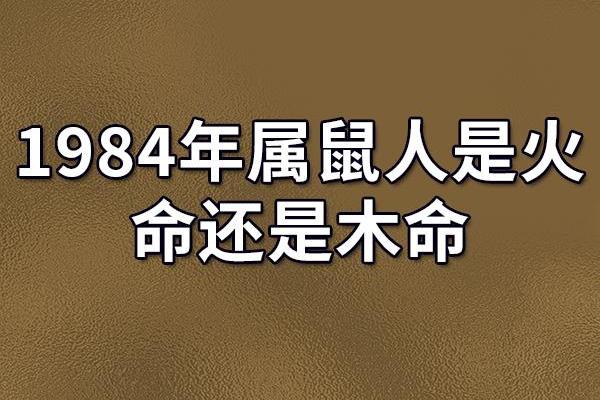 1984年是什么命 1984年属什么多少岁