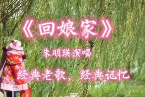 阿必大回娘家 阿必大回娘家
