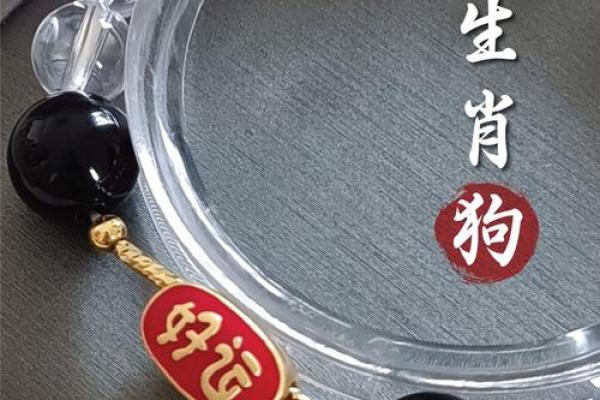 2025年属狗人的幸运颜色和忌讳颜色分别有哪些
