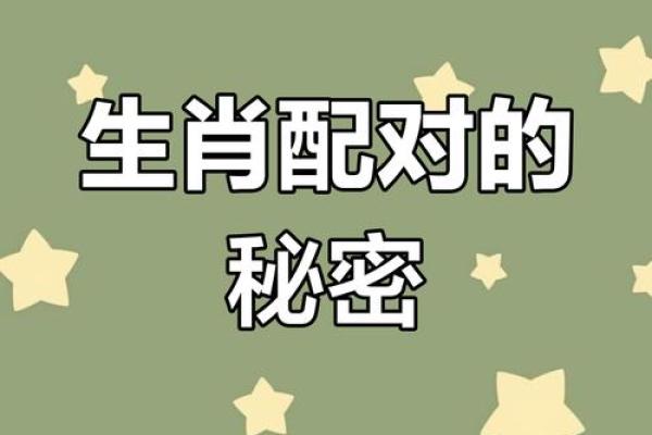 属蛇的最佳婚配表 男属蛇的人最佳配偶