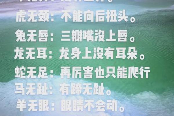 勾心斗角准确答案生肖