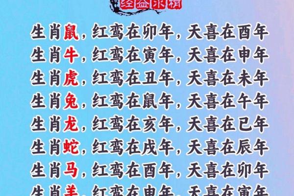无牵无挂代表什么生肖