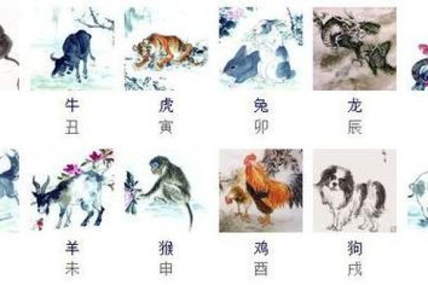 无牵无挂代表什么生肖
