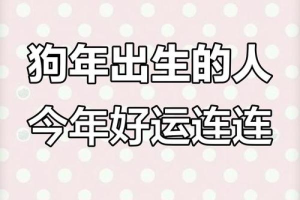属狗人不吉利的数字 属狗人永久吉利的数字