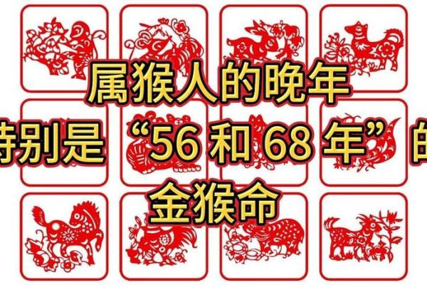晚年命最好三大生肖女 晚年命好的人指的是什么 晚年命最好三大生肖女 晚年命好的人指的是什么