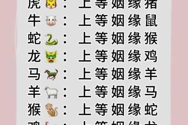 婚姻属相婚配表 婚姻属相婚配表格