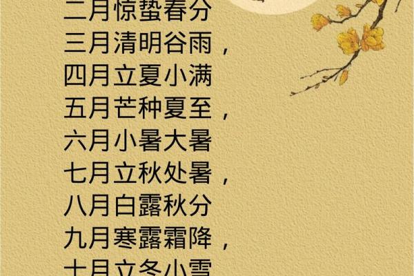 什么时候打春2024年几点(什么时候打春2024年几点几分)