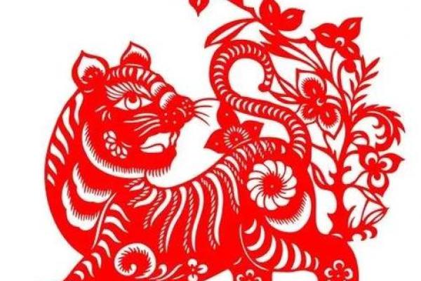 晚年没病没灾的四大生肖 晚年不会生病的三大生肖