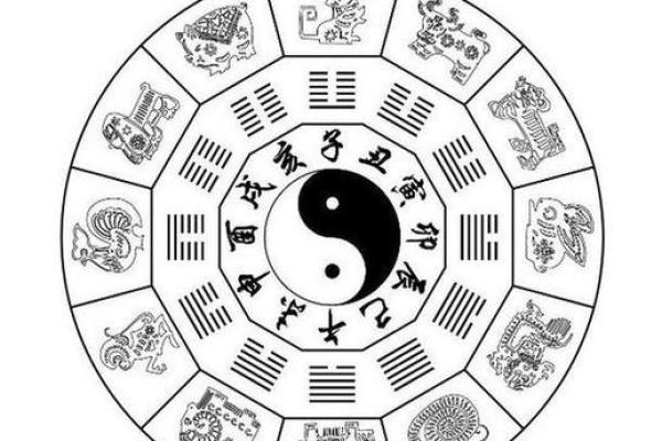 四海为家打一个最佳生肖(四海为家打一个最佳生肖动物)