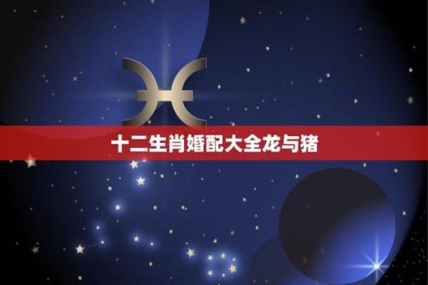 95猪和00龙属相合不合 95猪男与00龙女相配吗