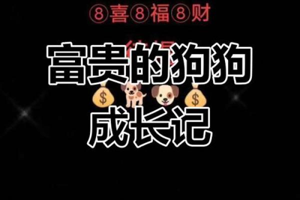 富贵狗一般生在几月 富贵狗一般生在几月份出生的