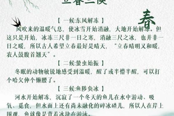 2019年哪天立春几点(2019年哪天立春什么时刻立春)