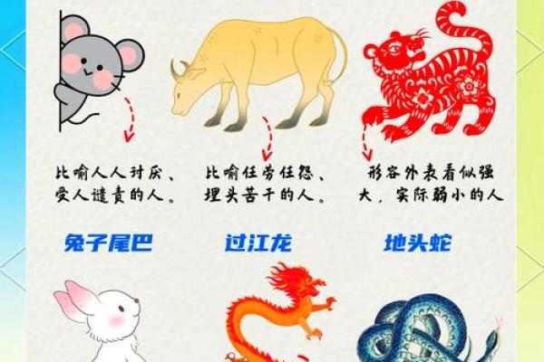 十二生肖中哪个动物代表游手好闲的性格特征和具体表现分析