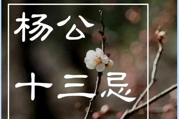 杨公忌日生的人命是好是坏 杨公忌日生人好吗