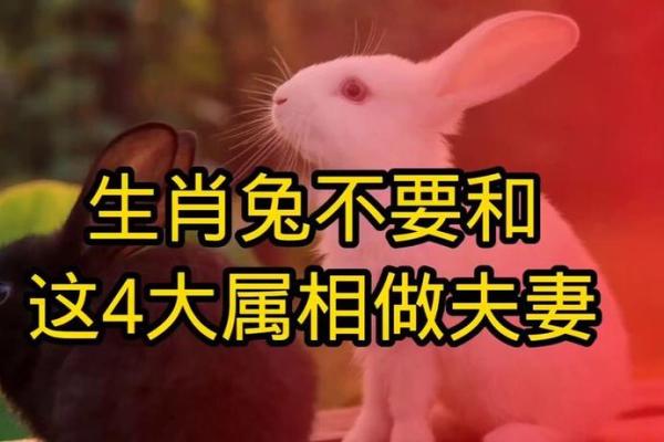 75兔最佳配偶属相 兔年75年最佳婚配