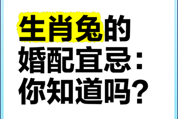 1987属兔最佳婚配 87属兔男最佳婚配对象