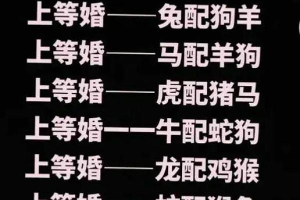 1999兔婚配最佳属相 1999兔婚配最佳属相男