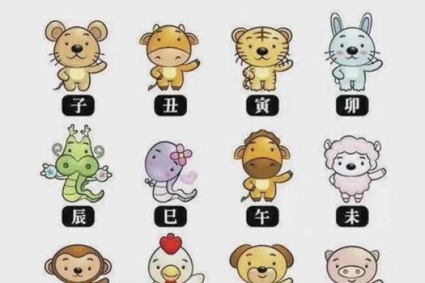 2019年猪年五行属什么命 2019年猪缺什么