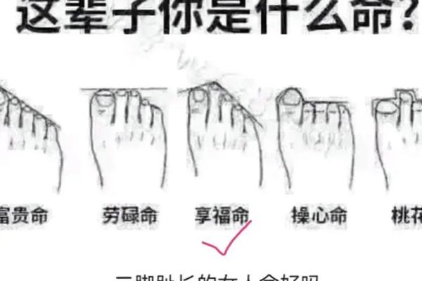食指比无名指长的人 食指比无名指长的人占多大比例