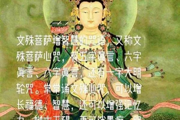 文殊菩萨最正确的回向 文殊菩萨回向偈全文