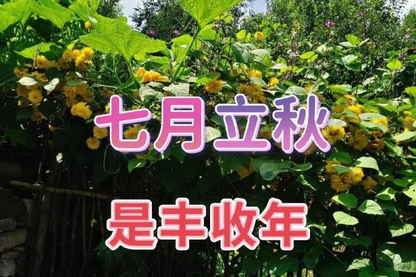 2021年立秋是几点几分几秒(2021年立秋是几点几分几秒)