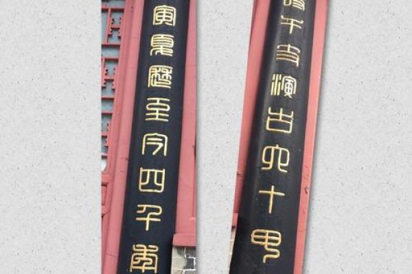 南山之寿指的是哪个生肖？传统文化中的寓意详解