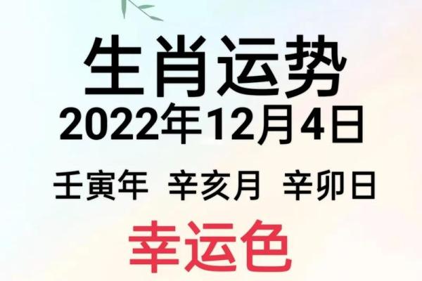 瘘不忘起打最佳一肖