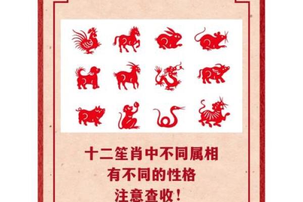 从生肖角度解析严父慈母的性格特质对应哪些属相？
