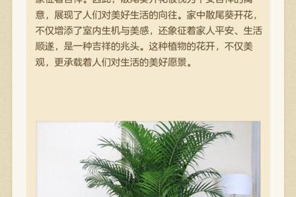 散尾葵风水大忌什么属相不能养 散尾葵禁忌摆放位置
