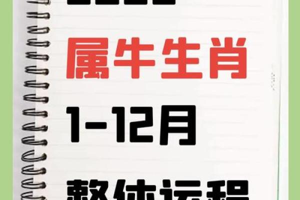 几月出生最好 属牛的几月出生最好