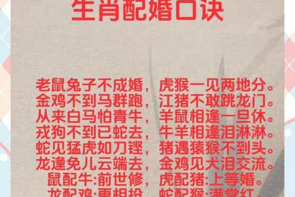 狗兔属相婚配好不好 狗兔属相合不合
