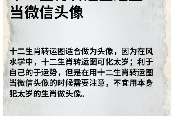 敢在太岁头上动土 敢在太岁头上动土指什么生肖