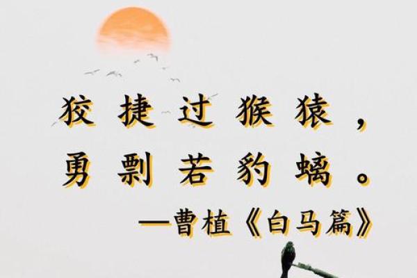 两雄相争打一生肖的谜底解析及文化背景探讨
