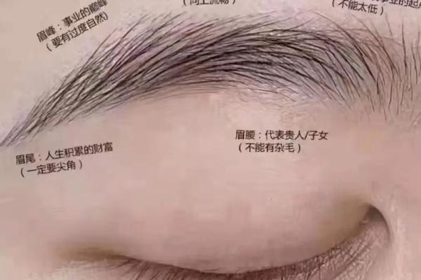 散眉有什么说法 散财眉毛是什么样的