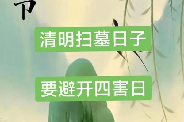 今年清明节什么属相不能上坟 今年清明节什么属相不能上坟地