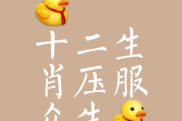 平起平坐打一个生肖