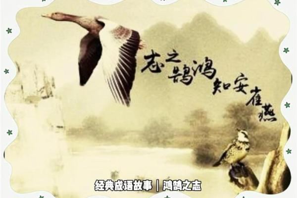 刻鹄不成着个成语具体指代什么生肖及其深层寓意探讨