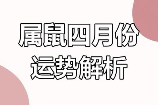2025年属鼠人的全年每月运程完整版精准分析
