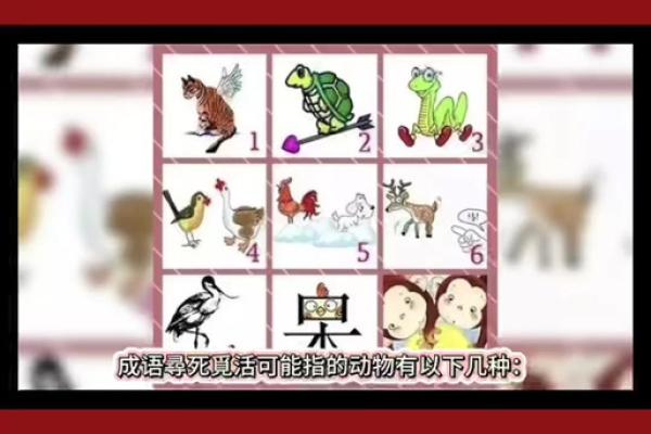 自相残杀指的是什么生肖，有没有相关的成语或故事解释？