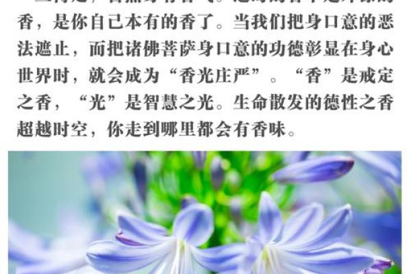 六斋日是哪几天 六斋日是哪几天